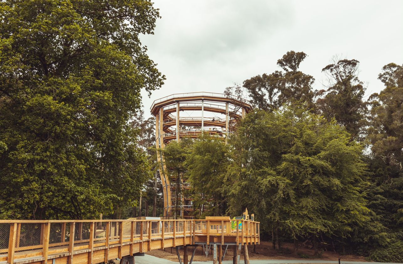 Sustainability Image